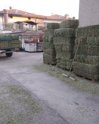 Fieno in ballette