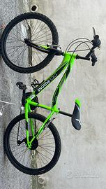 Bicicletta
