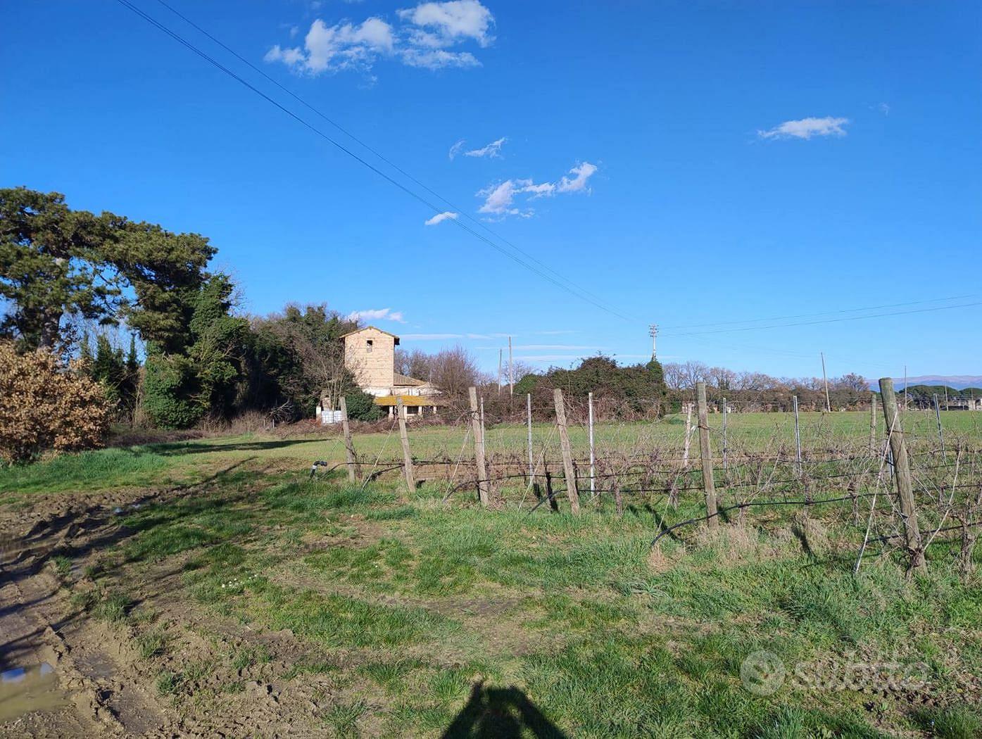 Rustico/Casale/Corte Torgiano [GRIM2944VTG] - More