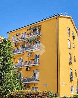 3 LOCALI A ROMA