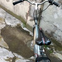 bici elettrica 