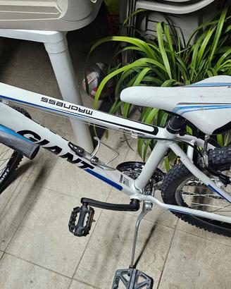 mtb giant tenuta bene 