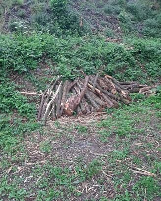 legna da ardere o barbecue 