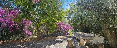 Appartamento in villa con giardino vista mare