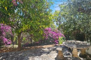 Appartamento in villa con giardino vista mare