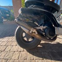 Marmitta Giannelli Reverse