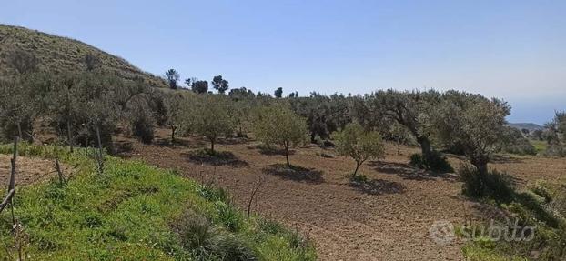 Agricolo a Motta San Giovanni