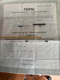 Certificati azionari Terni 1981