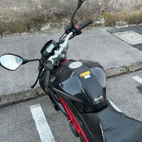 Benelli bn 125 2019