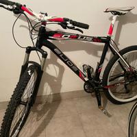 Bici raggio 26