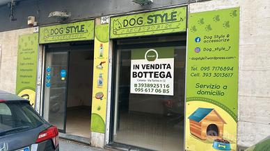 Immobiliare group srls. bottega via canfora