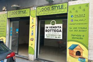 Immobiliare group srls. bottega via canfora