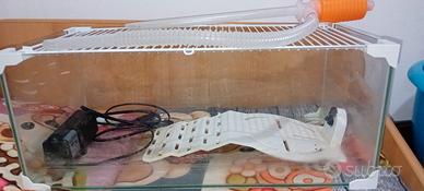 vasca tartaruga in vetro 