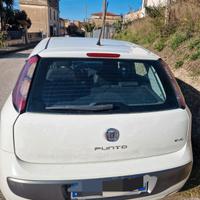 punto evo
