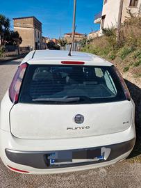 punto evo