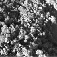 RGE 191/2024 Tribunale Verona Lotto 2)