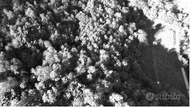 RGE 191/2024 Tribunale Verona Lotto 2)