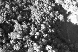 RGE 191/2024 Tribunale Verona Lotto 2)