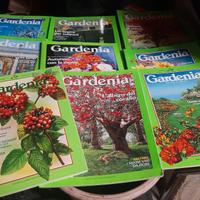 9 Riveste_"La gardenia"