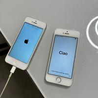 iPhone 5 più iPhone 5s