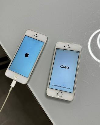 iPhone 5 più iPhone 5s