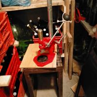 TAPPATRICE A COLONNA