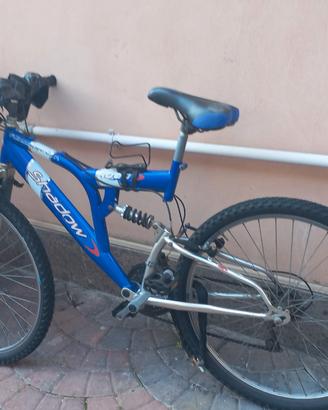 Mountain bike 