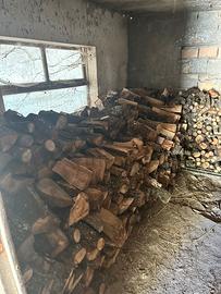 Legna di quercia secca da ardere