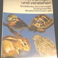 Tiere pflegen tartarughe quaglie in tedesco