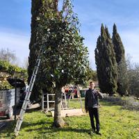 Candidato potatore siepe, alberi ecc
