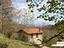 Immagine 7
