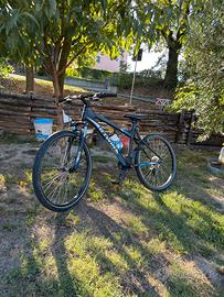 Mountain bike