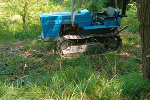 Vendita trattore LANDINI 4500 cingolato