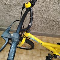 Bicicletta bambino 5/6 anni