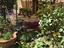 Immagine 15
