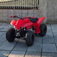 quad 250 cc