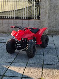 quad 250 cc