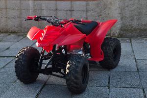 quad 250 cc
