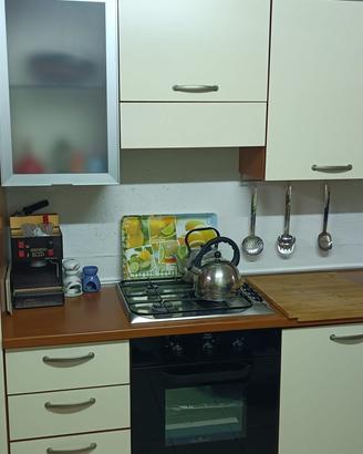 Cucina lineare con elettrodomestici