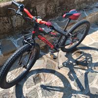 Mountain bike 