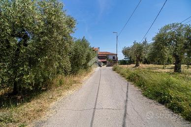 TER. RESIDENZIALE A TOLLO