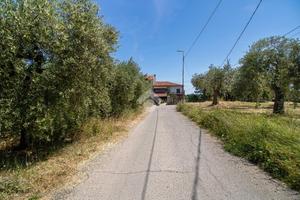 TER. RESIDENZIALE A TOLLO