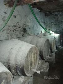 Botti antiche - vino o arredamento vintage