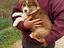 Immagine 8