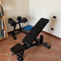 Lacertosus Panca Manubri Regolabili SELEKTOR 32 kg