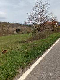 Terreno edificabile appennino parmense