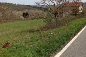 Terreno edificabile appennino parmense