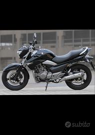 Suzuki Inazuma 250 - 2014