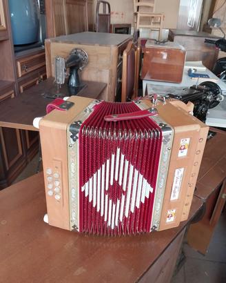 organetto