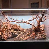Acquario aquascaping 180L completo top accessori